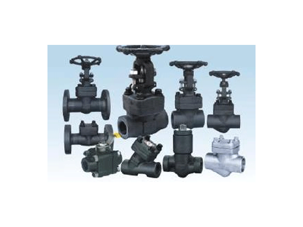 Forget Steel Check Valve